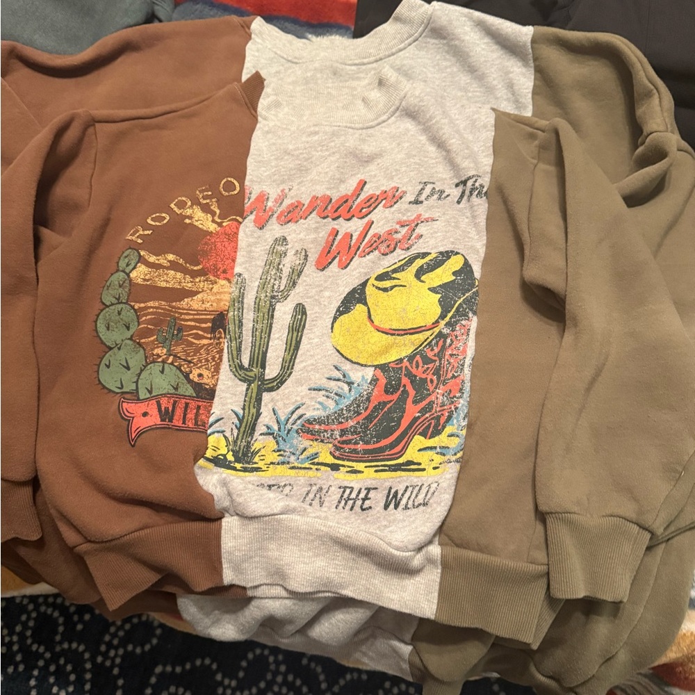 Wander in the West Graphic Sweatshirt - Light Gray